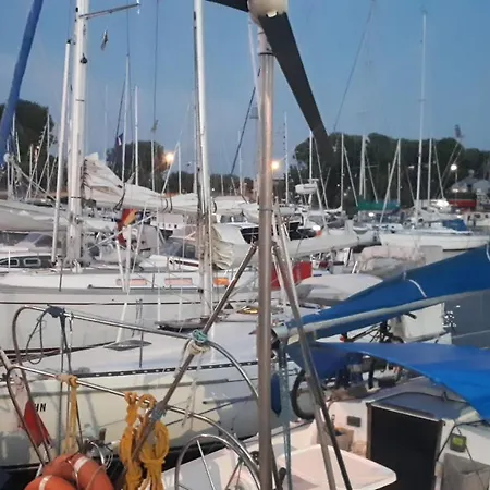 Ambrozja * Kołobrzeg