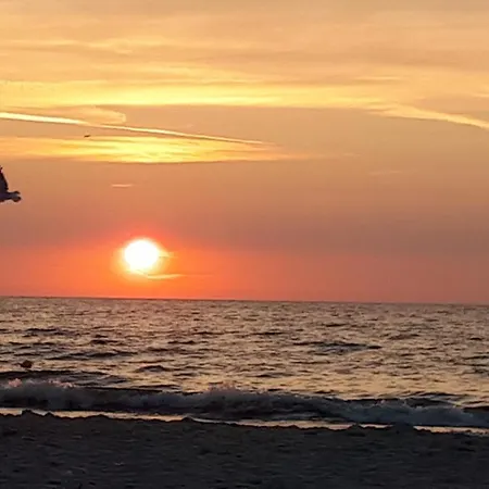 Ambrozja בית אירוח קולובז'ג